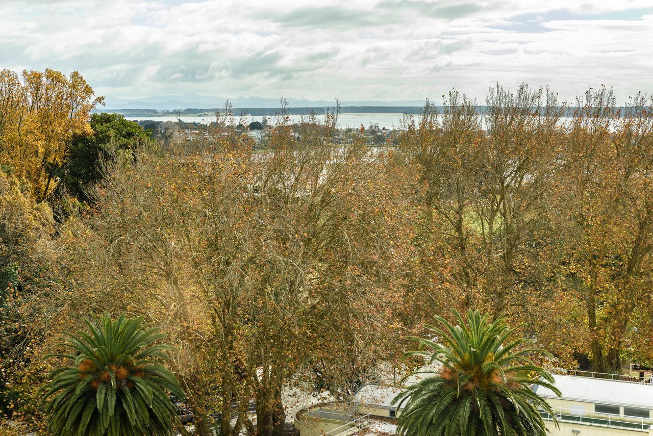 Top Of The Town Bed & Breakfast Tauranga Exteriör bild